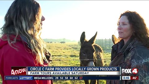 Pasture tours available at Circle C Farm on Saturday