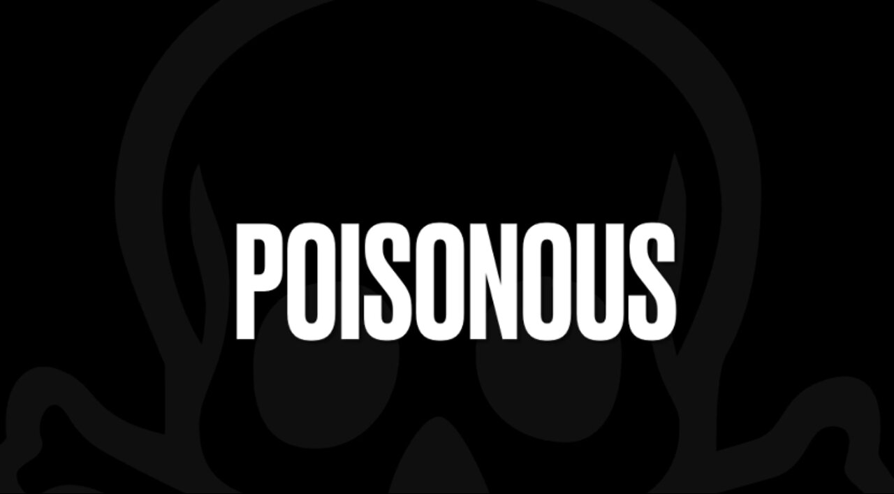 Poisonous | Lyric Video | Freedom & Truth Music | Resistance | Glen Rocka | The Mid-Fi Soundtrack