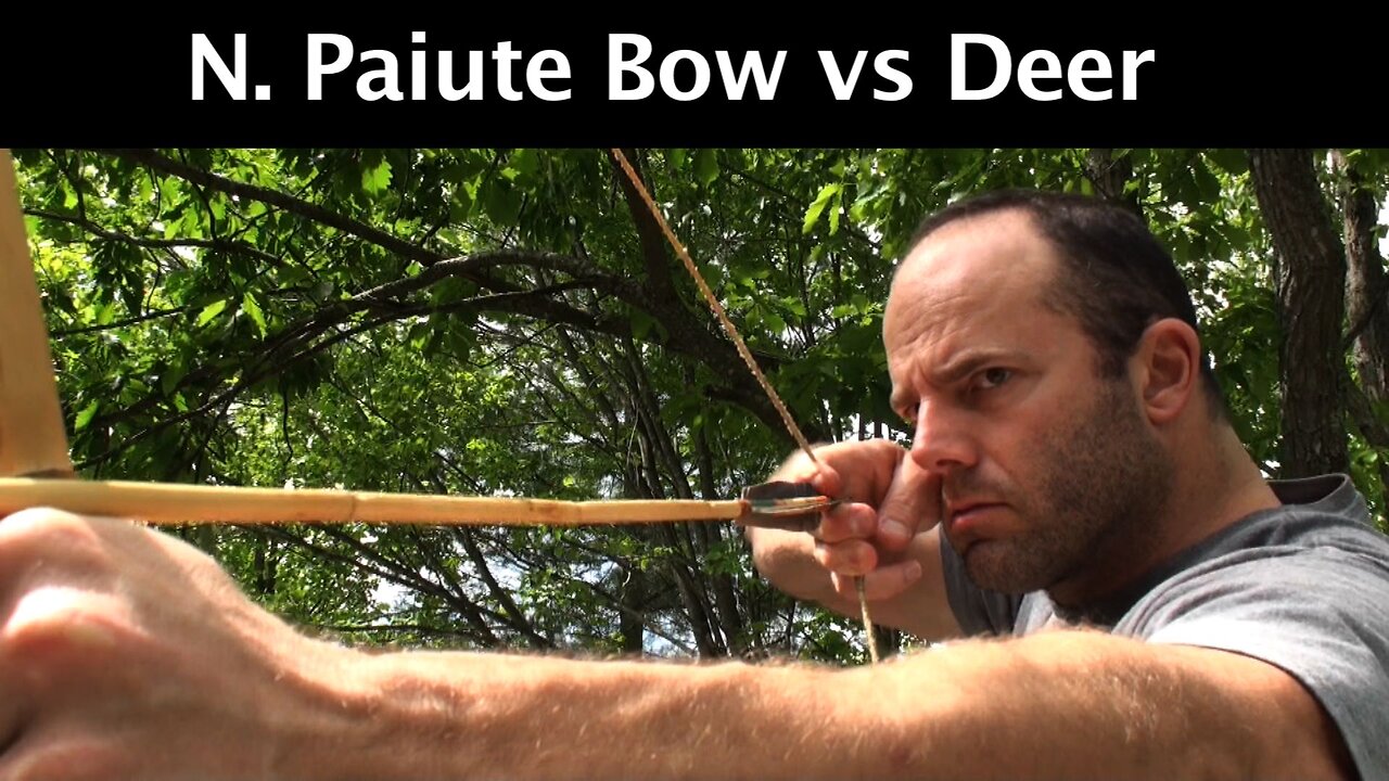 Penetration Test: Paiute Bow vs. Deer