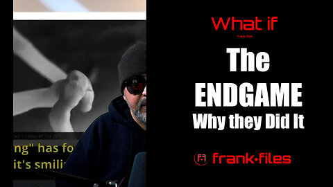 The Endgame - Why they did it