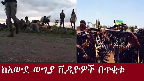 ከአውደ-ውጊያ ቪዲዮዎች በጥቂቱ DereNews Oct 5,2024