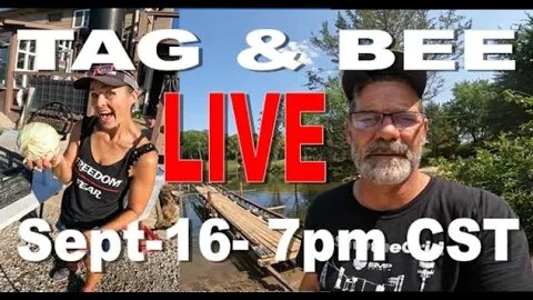 Tag and Bee LIVE