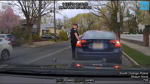 Video: Elected Official Calls Police Chief ‘Skinhead’ for Pulling Her Over