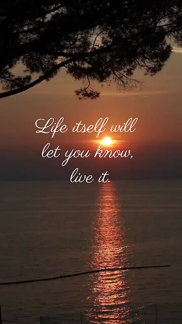 Embracing Life's Depth: Don't Describe, Live It