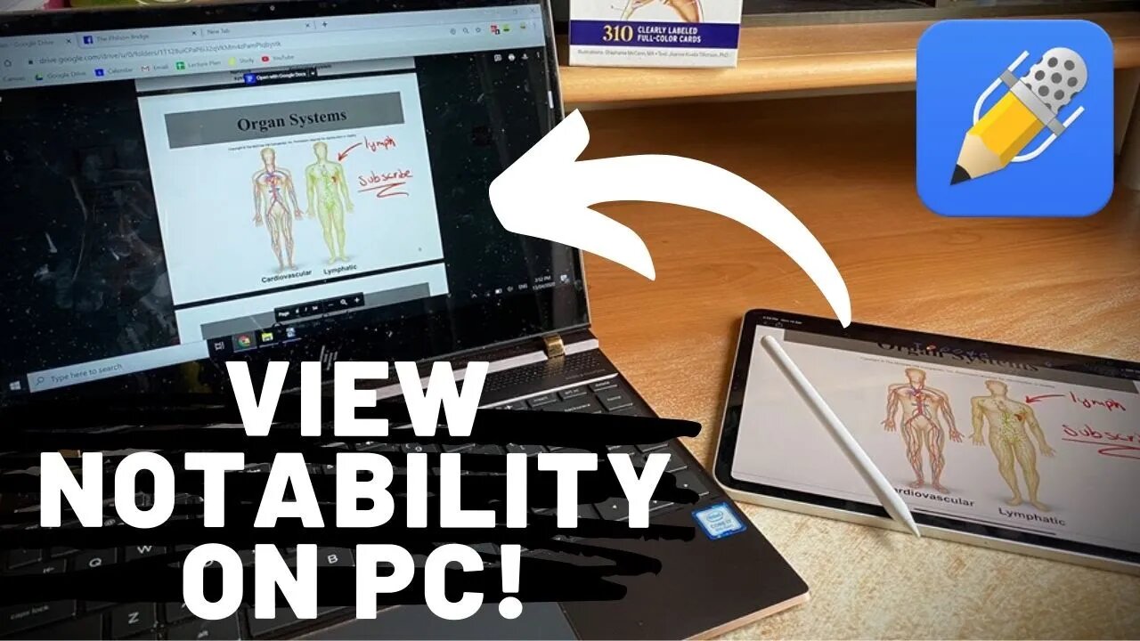 How to VIEW Notability Notes on your Windows PC