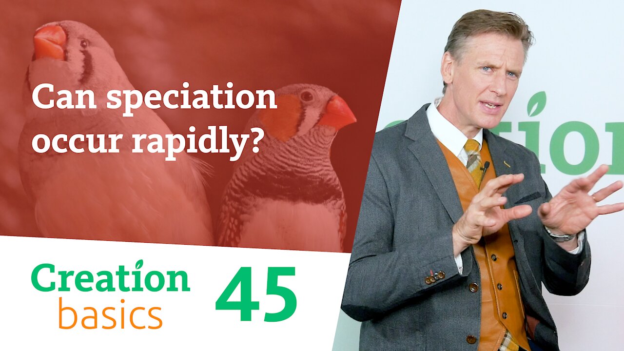 Can speciation occur rapidly? (Creation Basics, Episode 45)