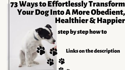 73 Ways to training Your Dog to more Obedient Healthier & Happie