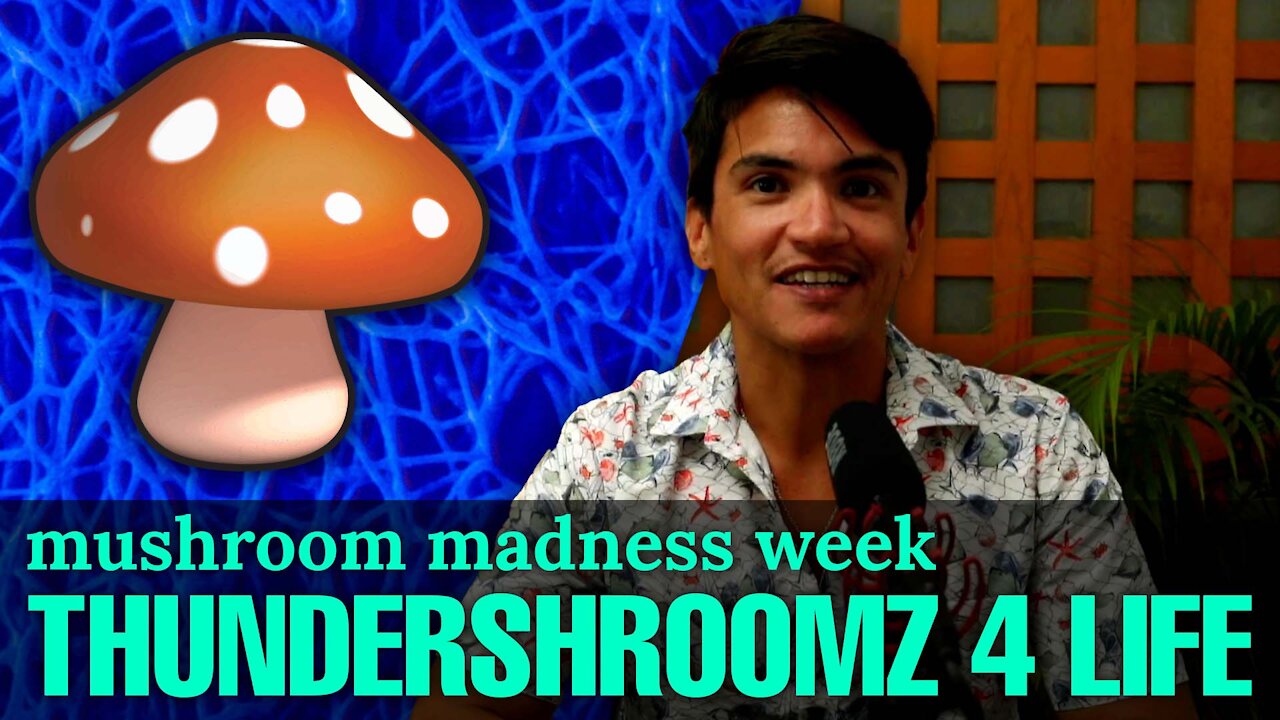 Mushroom Madness Week - Thundershroomz For Life - Episode 3 - With Oliver Foxon