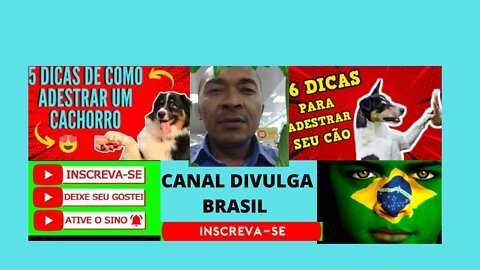 ( Canal divulga brasil )