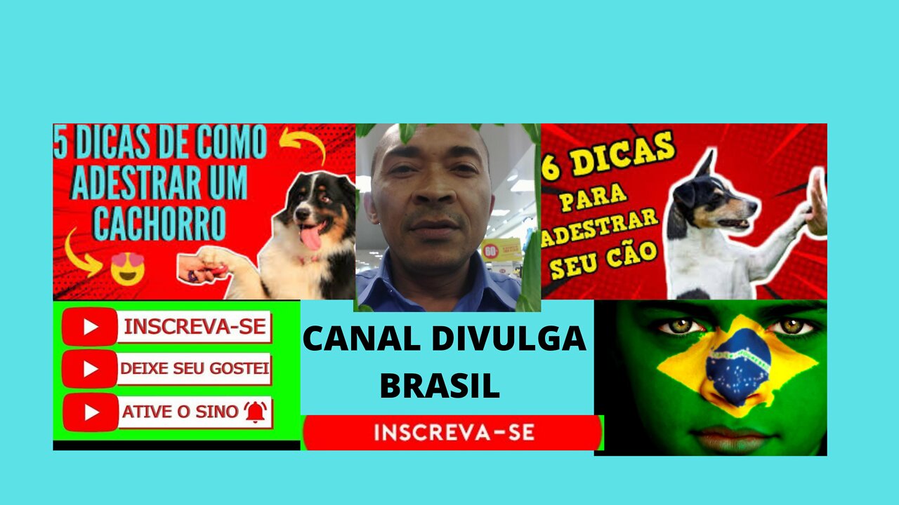 ( Canal divulga brasil )