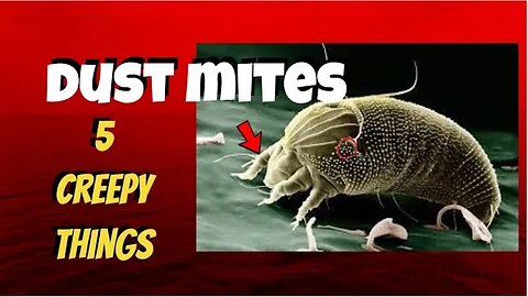 5 Creepy Things You Never Knew About Dust Mites