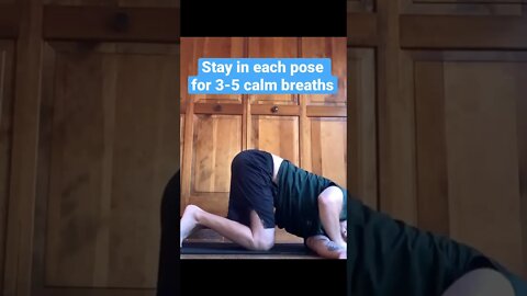 How did I heal my back pain? This one minute yoga flow did the trick!