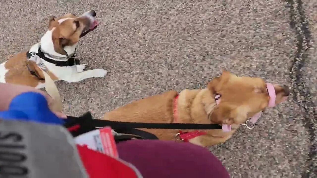 Going on a walk.