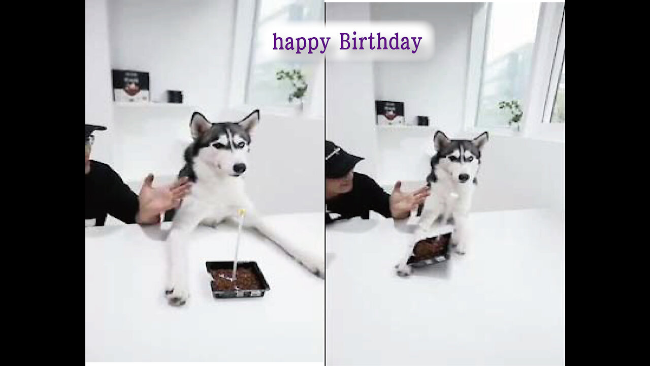 Birthday is impossible to make do -MP4