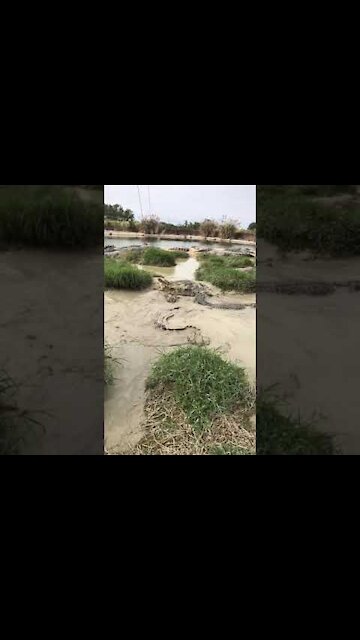 Best Fishing Video 🐟 Amazing Fishing 🔴 BigFishingTV 🔴 2021