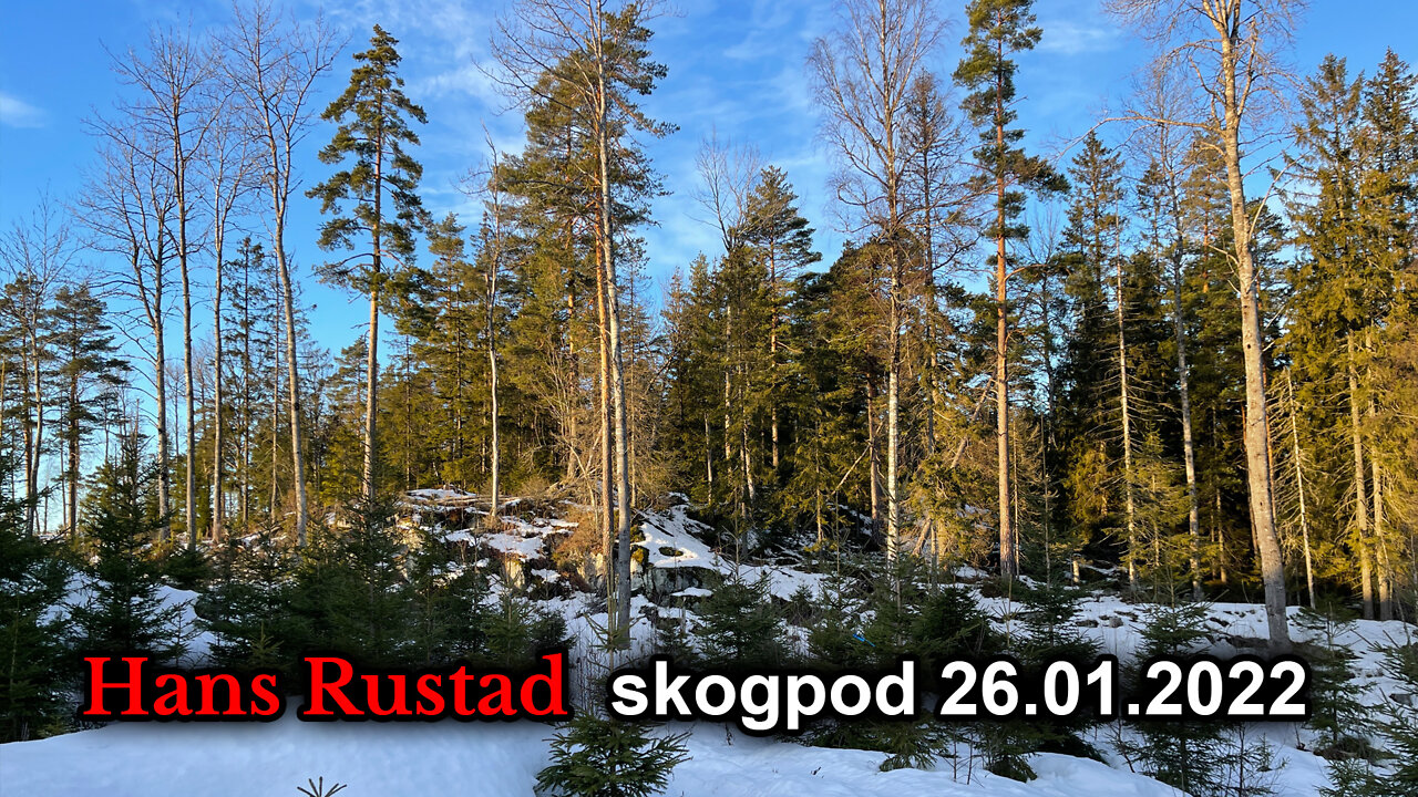 Skogpod 26. januar: Biden-regimet vil forsvare Ukrainas grenser med amerikanske liv, men ikke USAs