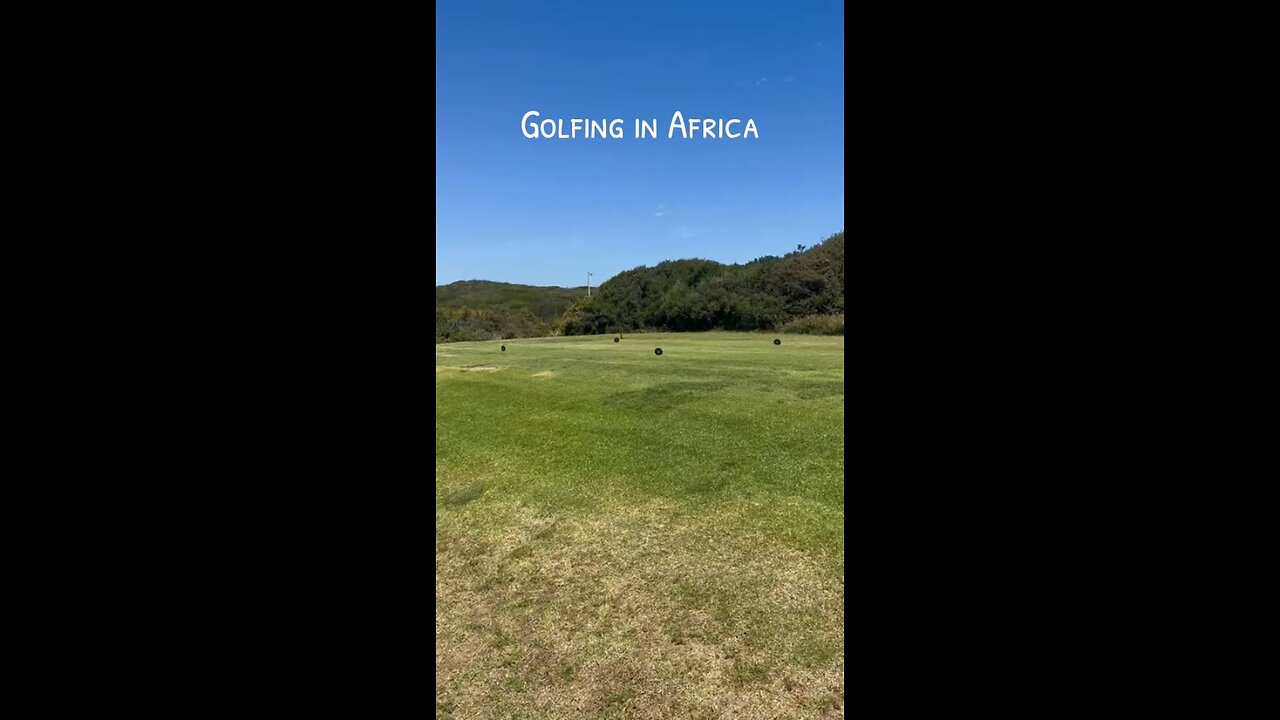 Huge snake on golf course in South Africa!