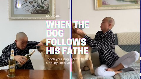 When the dog follows his father