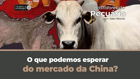 O que podemos esperar do mercado da China? Bastidores da Pecuária com Celso Ricardo