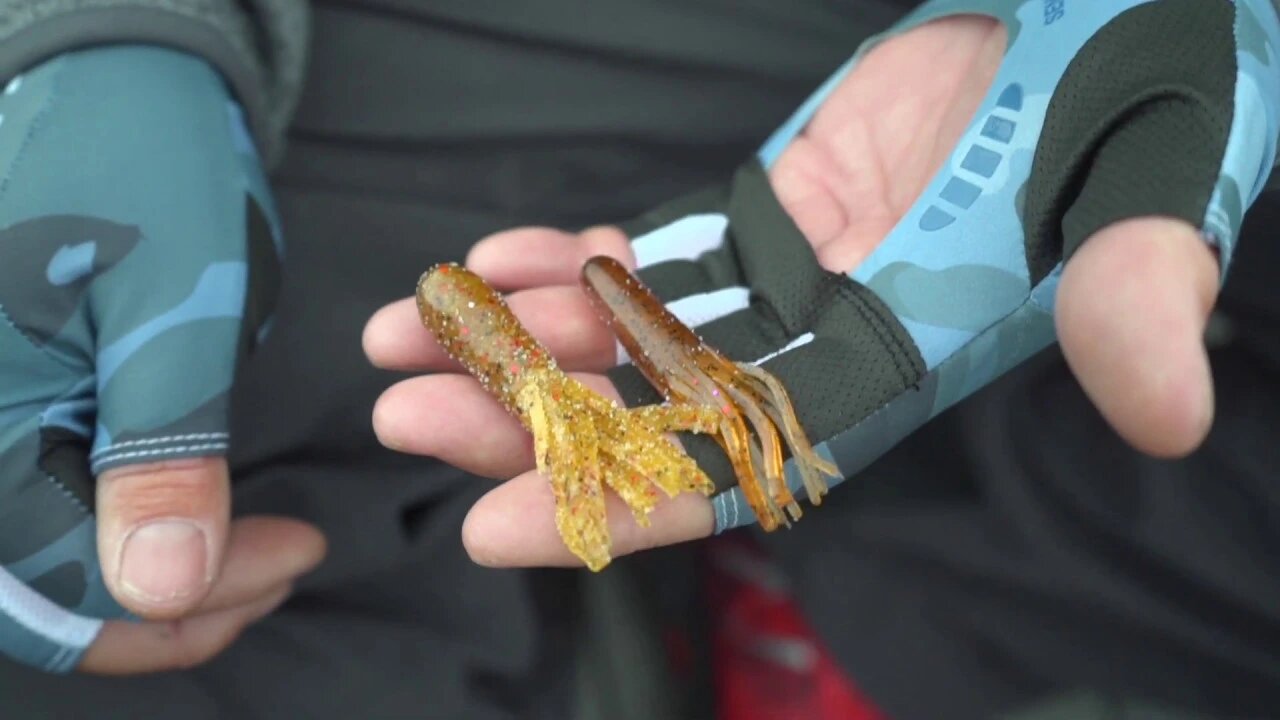 All purpose tube colors with Mark Courts