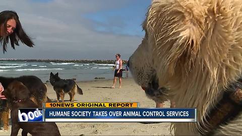 Humane Society takes over Animal Control for 6 cities in San Diego County