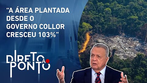 Roberto Rodrigues fala sobre proporção entre desmatamento e produção agrícola | DIRETO AO PONTO