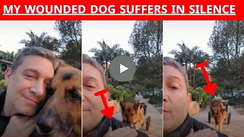 Dog' Watch how this person sympathizes with his disabled dog