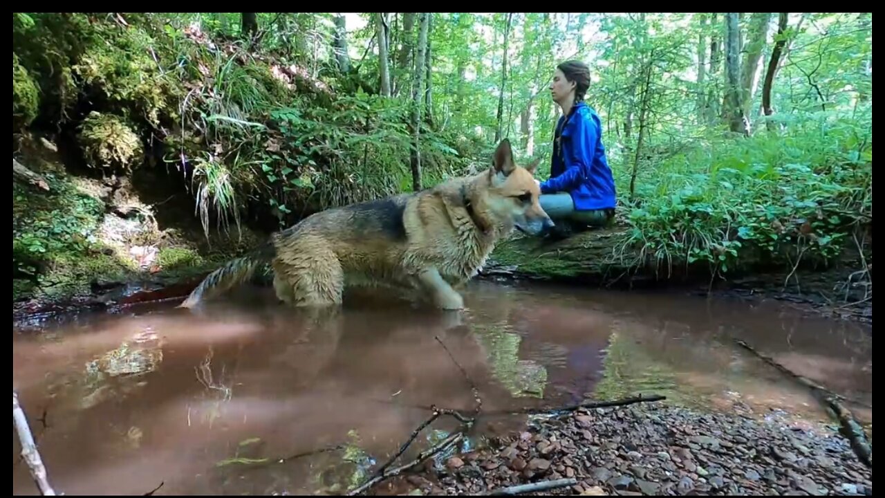 Woman Meditating Near the Stream.Welcome to Gboard clipboard, any text you copy will be saved here.