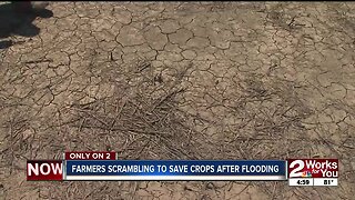 Farmers scrambling to save crops after flooding