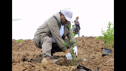 The leaders and employees of Ethiopian Airlines continued to participate in the green footprint...