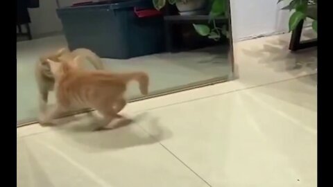 First Time To See Myself On Mirror