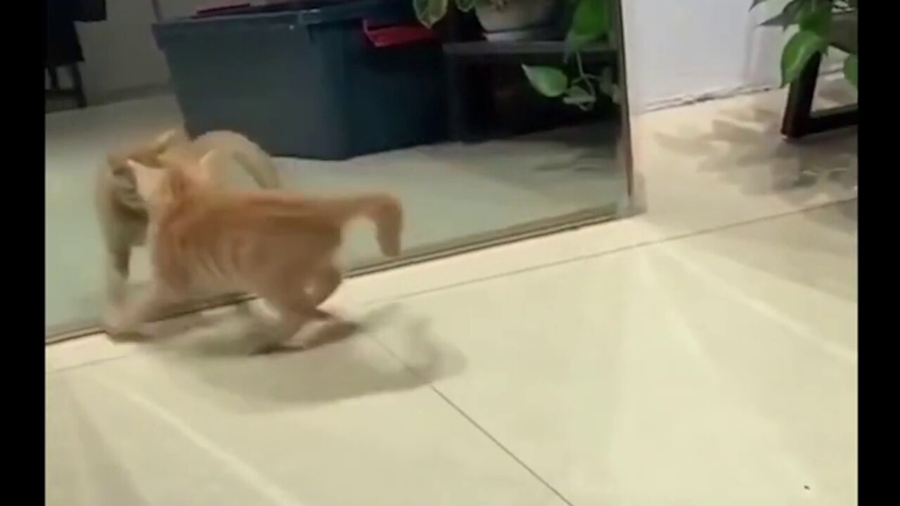 First Time To See Myself On Mirror