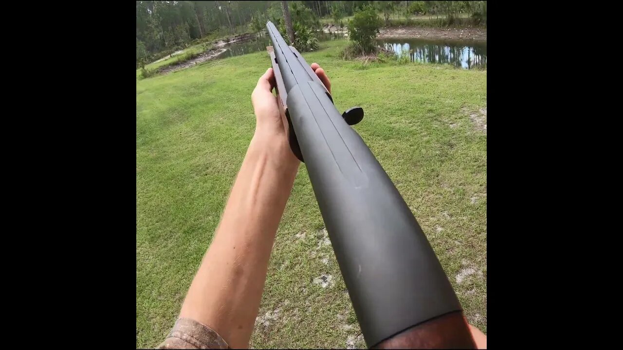 12 gauge