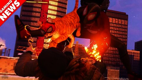 Spider-Man Miles Morales - Spider-Cat Revealed!