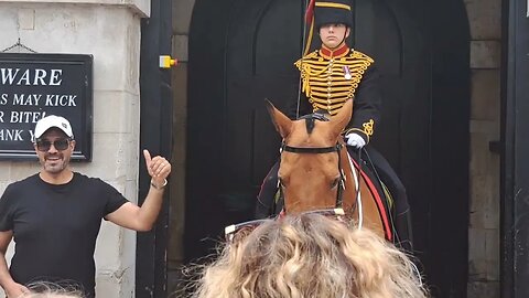 Horse wont look at the camera so touch the reins #horseguardsparade