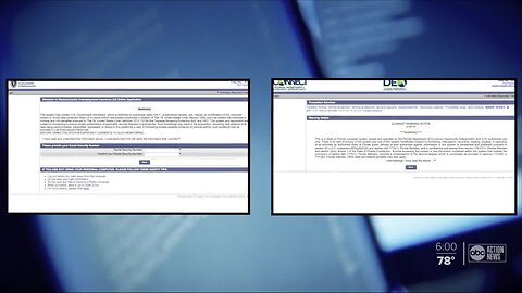 State officials making progress on Florida's unemployment system - The Rebound Tampa Bay