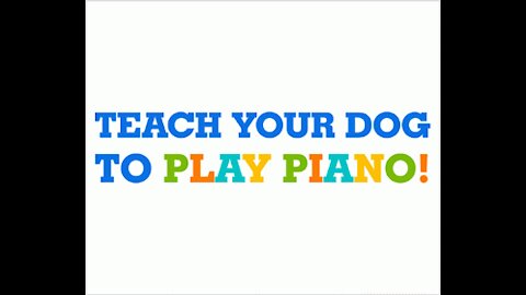 5 Quick Tips for Smarter DogsContains