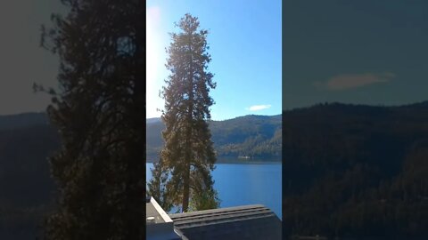 Stop and take in the view. Christina Lake BC #shorts