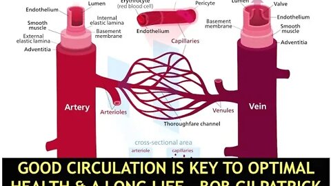 Chi & Ciruclation, Effects on Long Life, Great Health & Flu Protection, Bob Gilpatrick