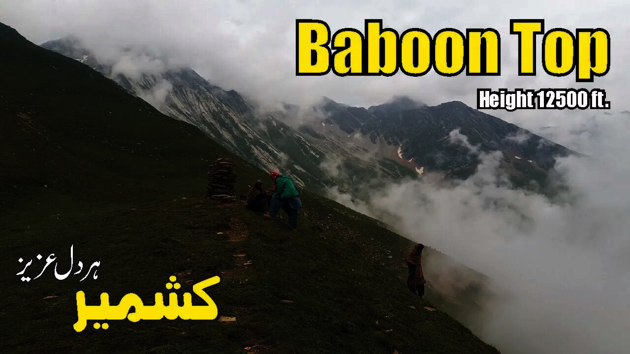 Baboon Top Jaggaran Valley Kashmir