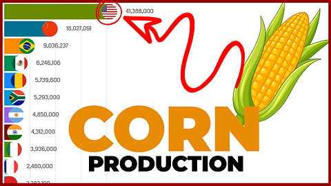 The main corn producing countries 🌽