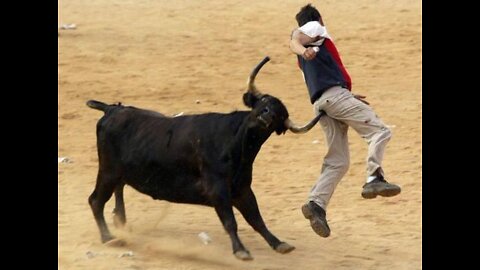 Bull attack __ shorts funny videos __ funny LoL