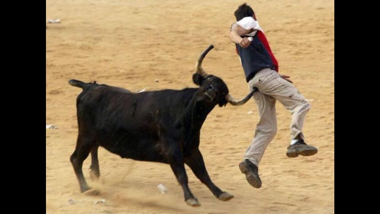 Bull attack __ shorts funny videos __ funny LoL