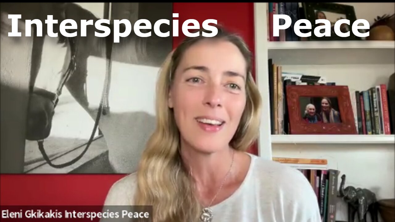 Interspecies Peace and Intuitive Animal Communication with Eleni Gkikakis