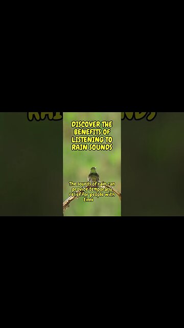 4 Surprising Benefits of Listening to Rain Sounds for Your Mind and Body #shorts #short