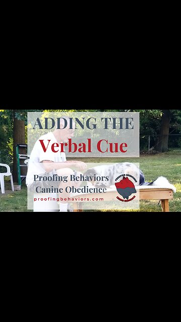Adding the Verbal cue part 1