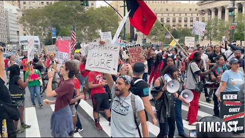 NYC Walk Out Protest