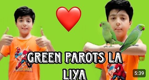 Parots la Liya