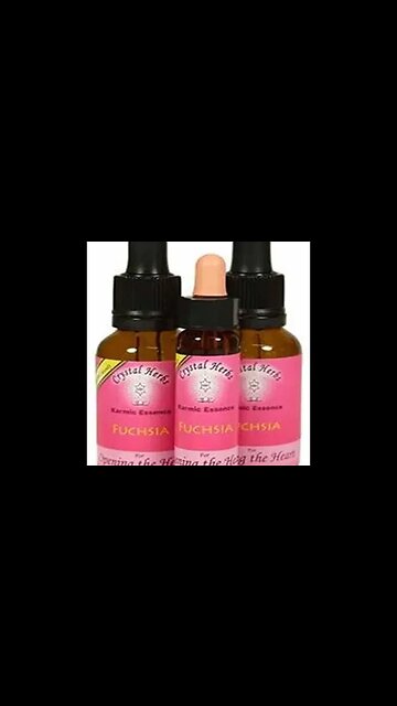 FUCHSIA - FLOWER ESSENCE
