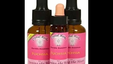 FUCHSIA - FLOWER ESSENCE